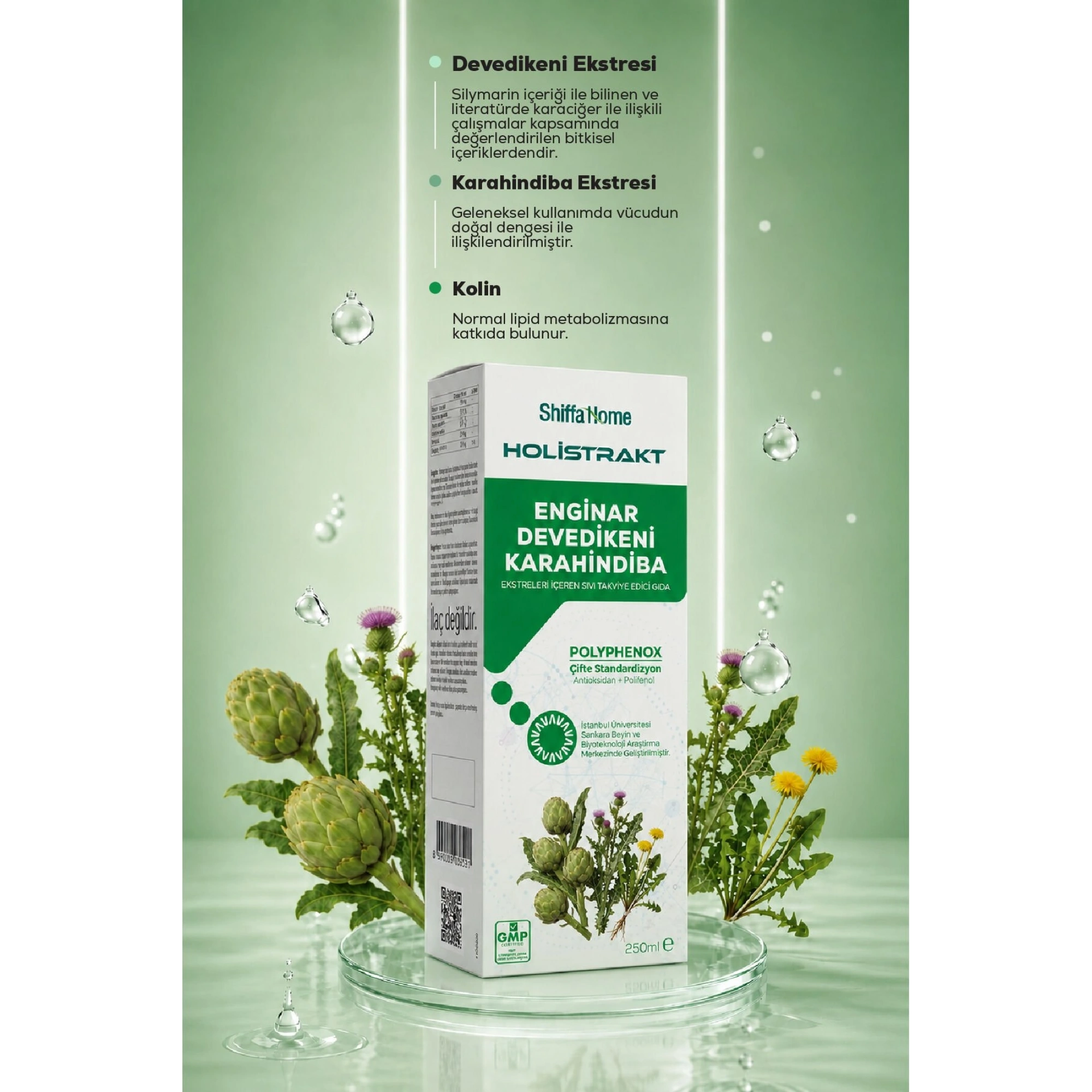Shiffa Home Enginar, Devedikeni ve Karahindiba İçeren Sıvı Ekstrakt 250 ML