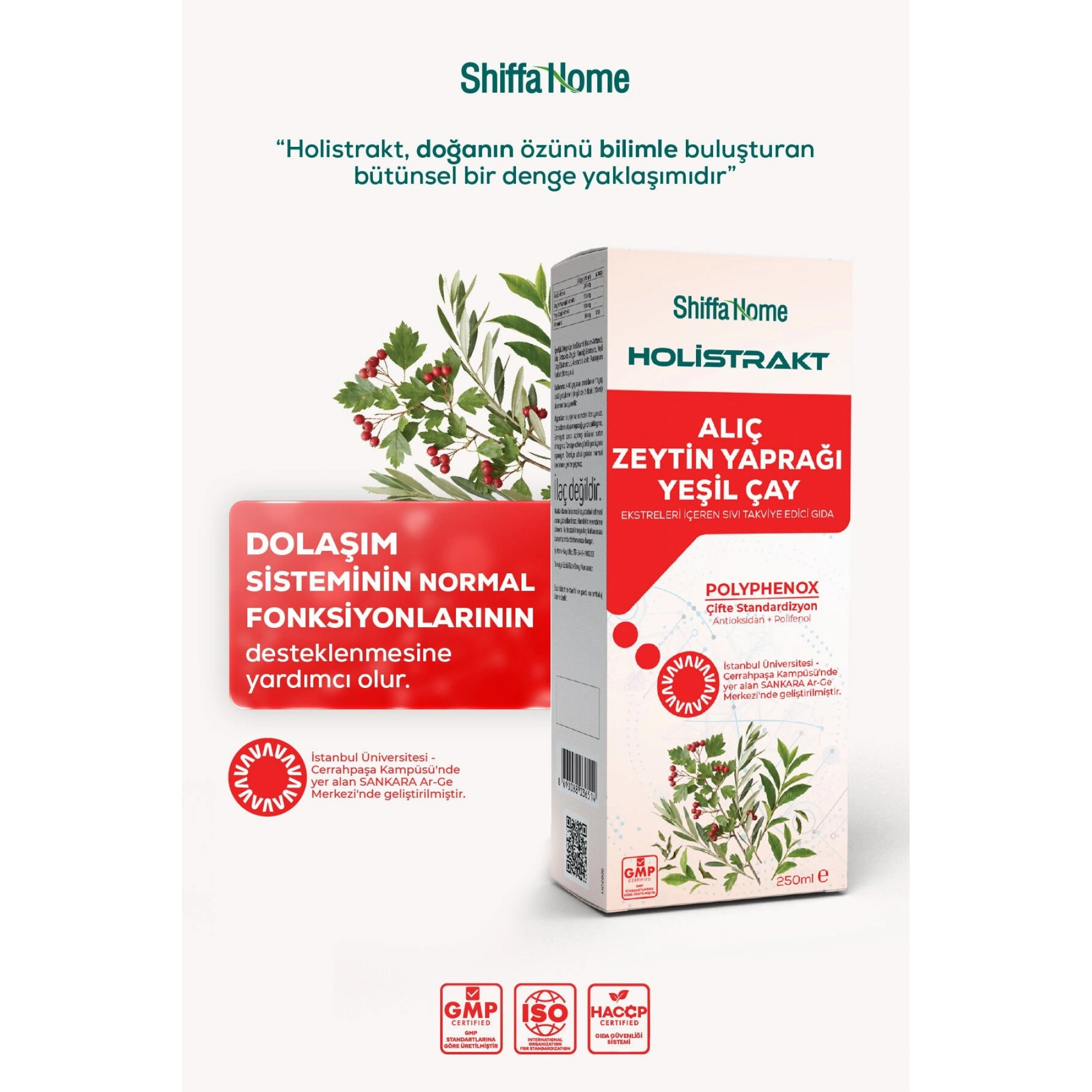Shiffa Home Alıç, Zeytin Yaprağı ve Yeşil Çay İçeren Sıvı Ekstrakt 250 ML