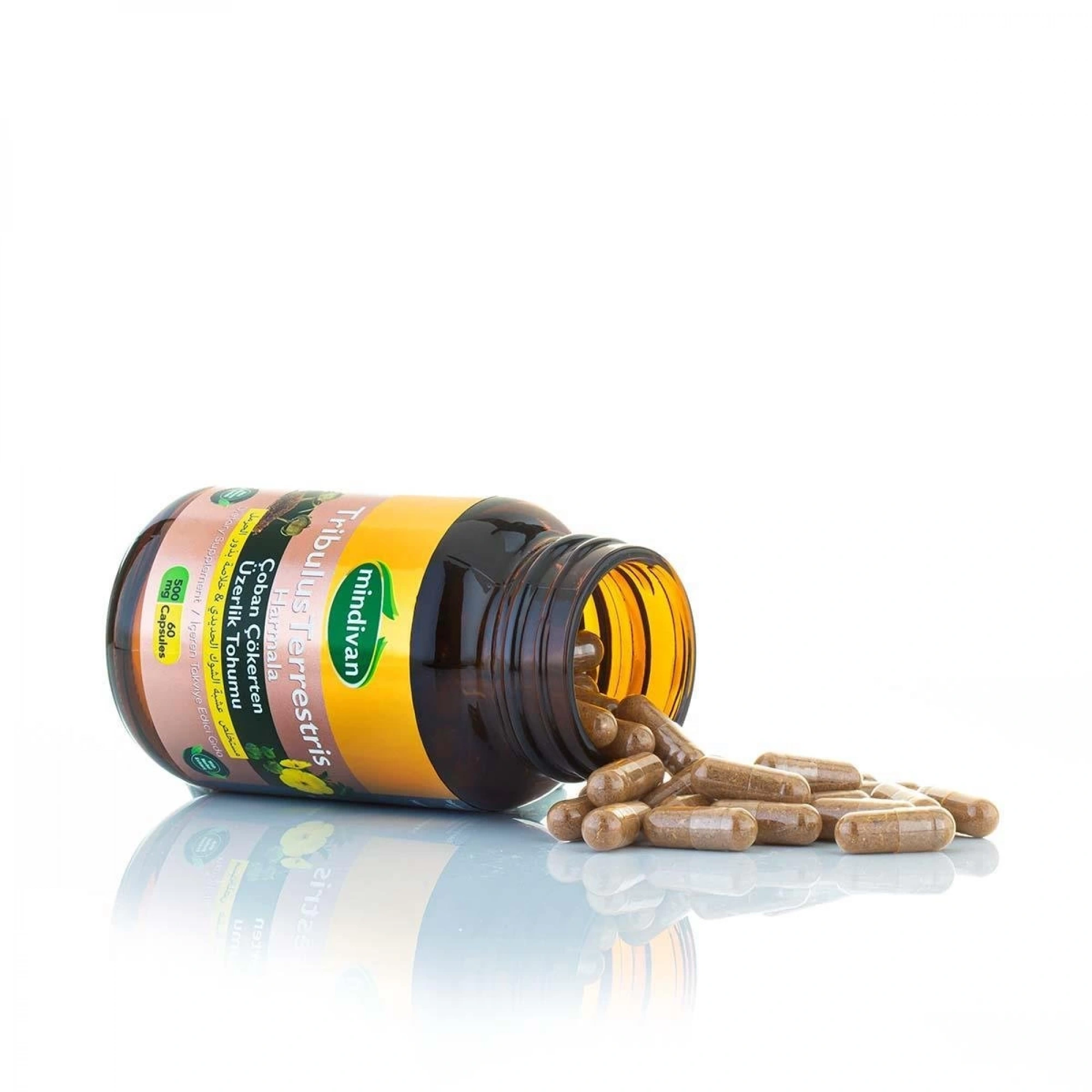 Mindivan Çoban Çökerten (Tribulus) ve Üzerlik Tohumu Ekstresi - 500 Mg 60 Kapsül