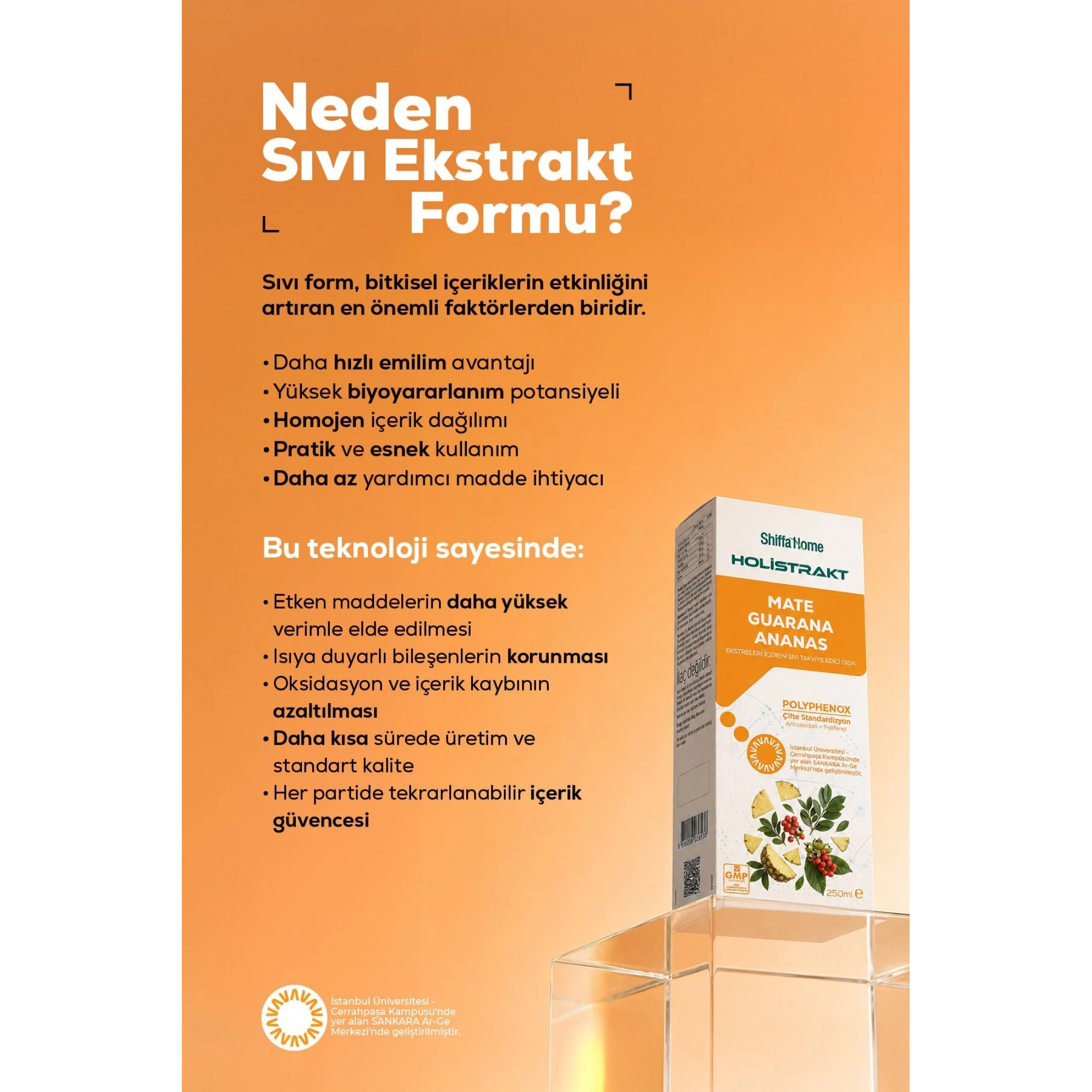 Shiffa Home Guarana, Mate, Yeşil Çay ve Ananas İçeren Sıvı Ekstrakt 250 ML