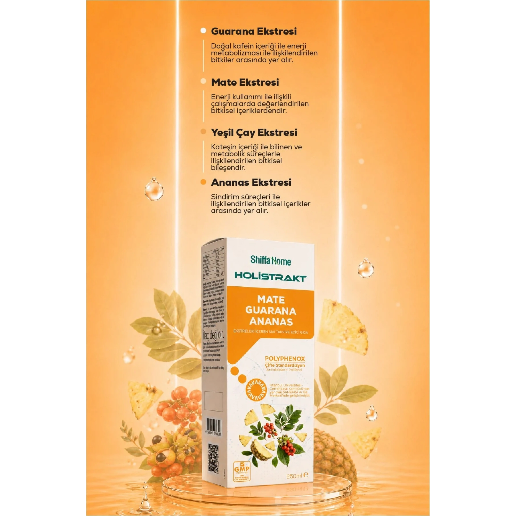 Shiffa Home Guarana, Mate, Yeşil Çay ve Ananas İçeren Sıvı Ekstrakt 250 ML