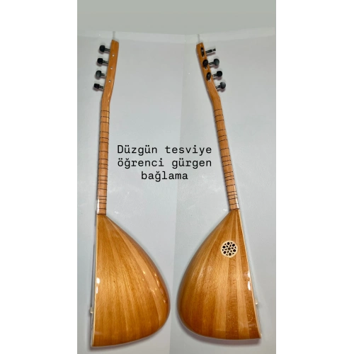 Gürgen Kısa Sap Bağlama Başlangıç Seviye
