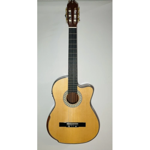 Profesyonel El Yapımı Elektro Klasik Gitar 4/4