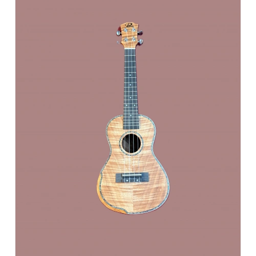 Puka Ukulele