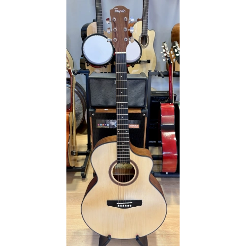 Tayste Akustik Gitar 4/4