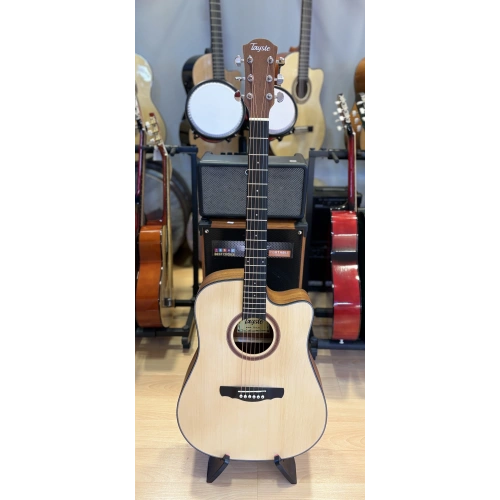 Tayste Akustik Gitar 4/4