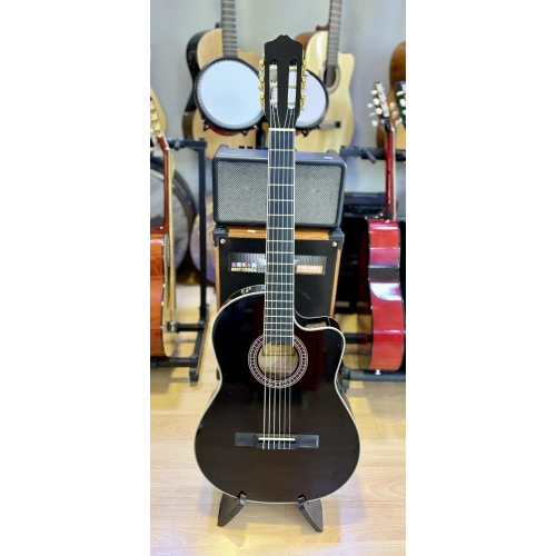 Tayste Klasik Gitar