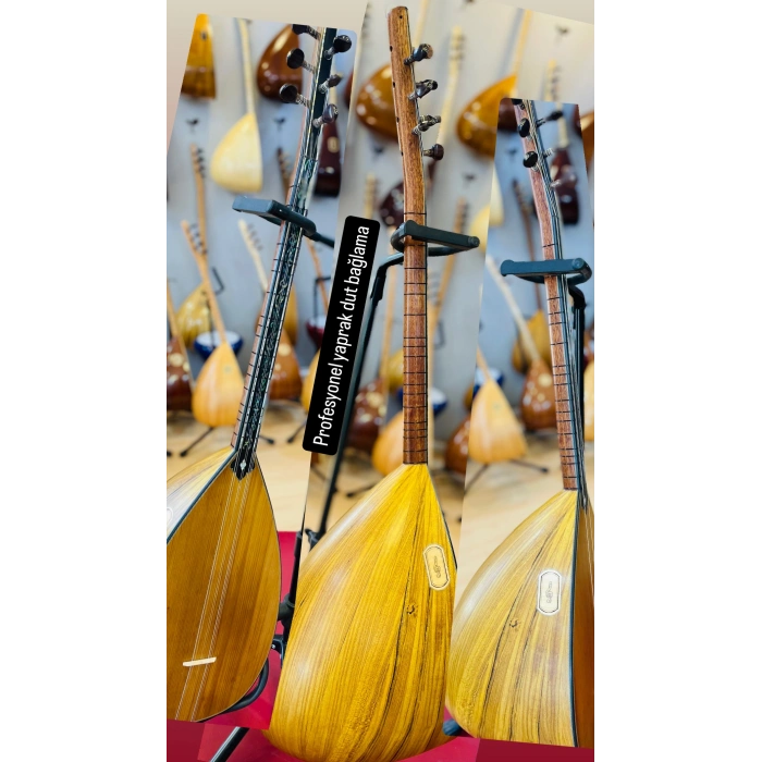 Profesyonel Yaprak Dut Bağlma