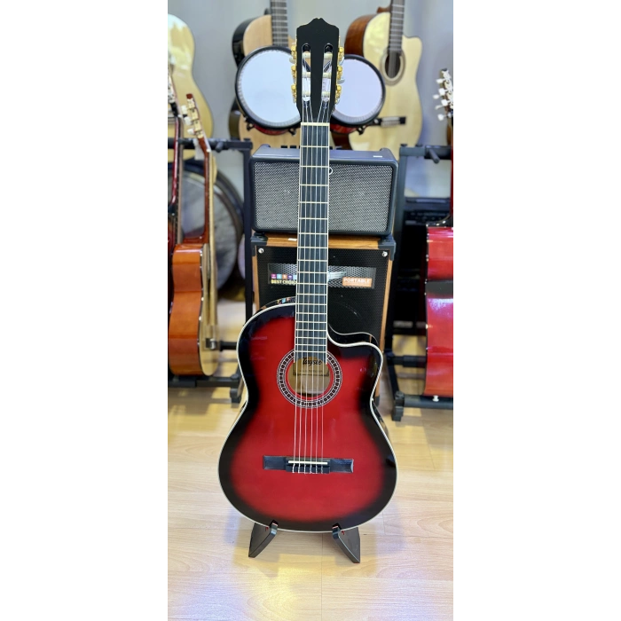 Tayste Klasik Gitar