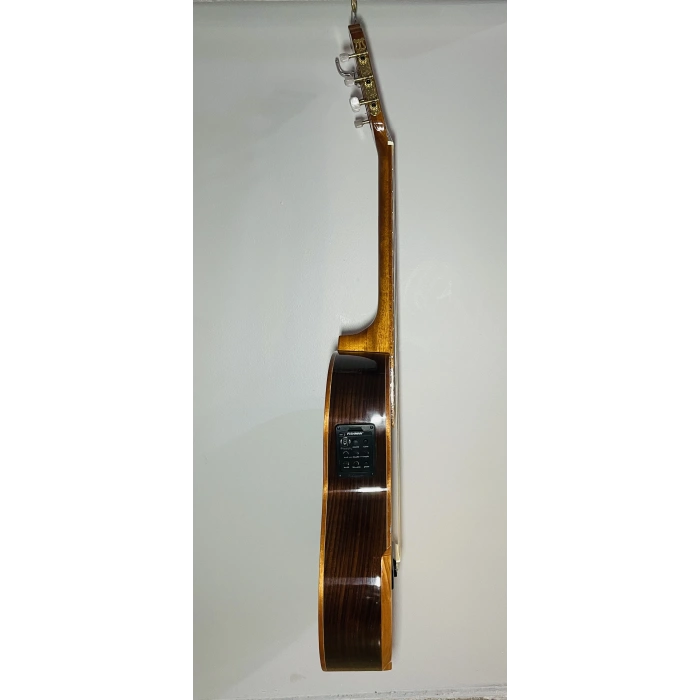 Elektro Klasik Gitar