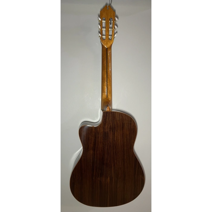 Elektro Klasik Gitar