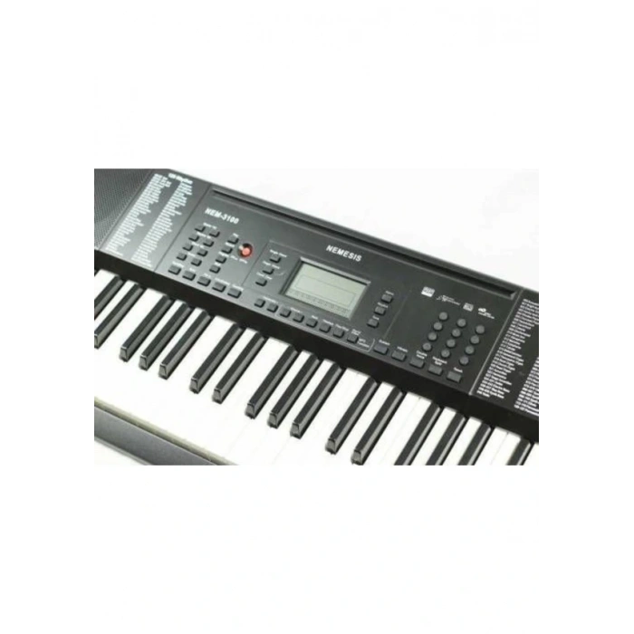 Nemesis NEM3100 - Elektronik Org