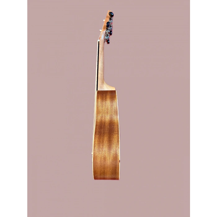 Puka Ukulele