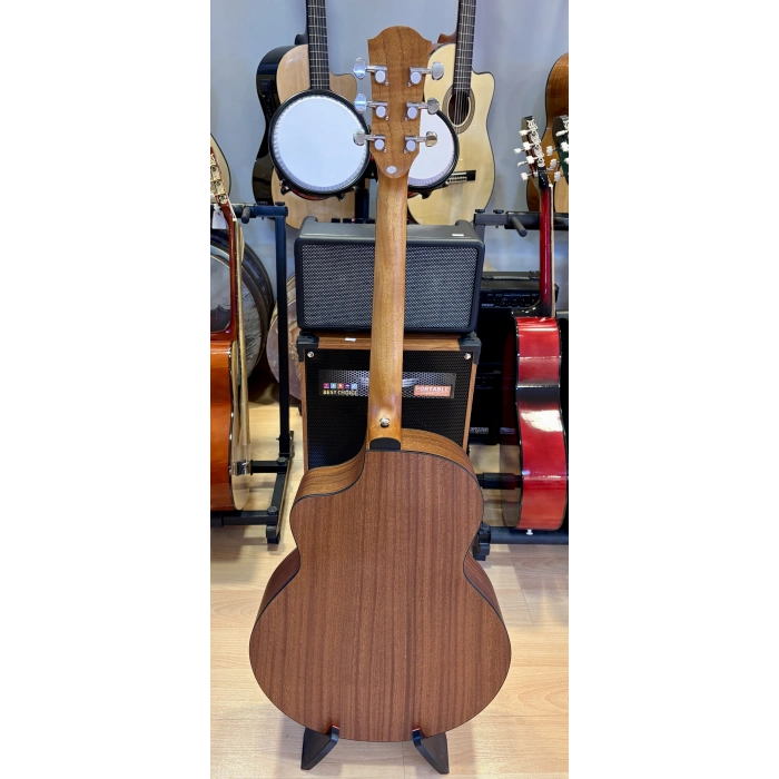 Tayste Akustik Gitar 4/4