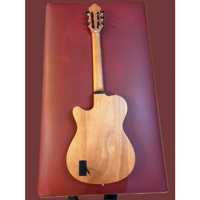 Tayste Elektro Klasik Gitar