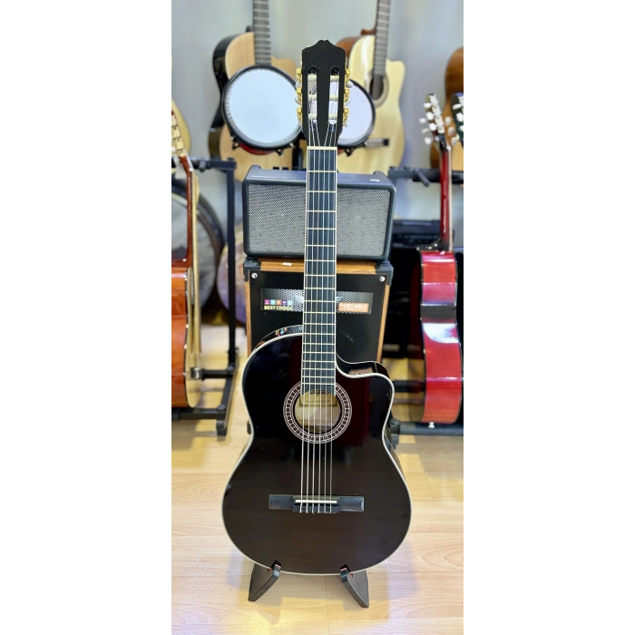 Tayste Klasik Gitar