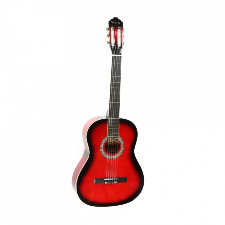 Tayste Elektro Klasik Gitar