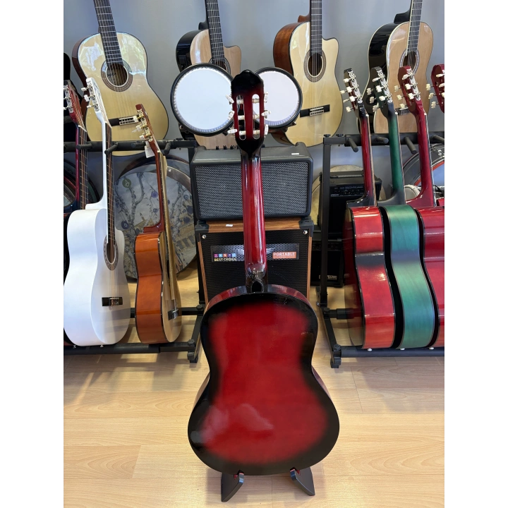 Sidney klasik Gitar 4/4