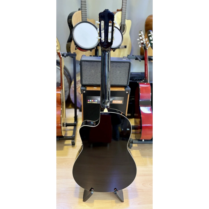 Tayste Klasik Gitar