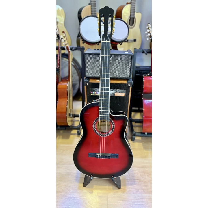 Tayste Klasik Gitar