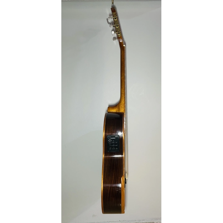 Elektro Klasik Gitar 4/4 Profesyonel El Yapımı