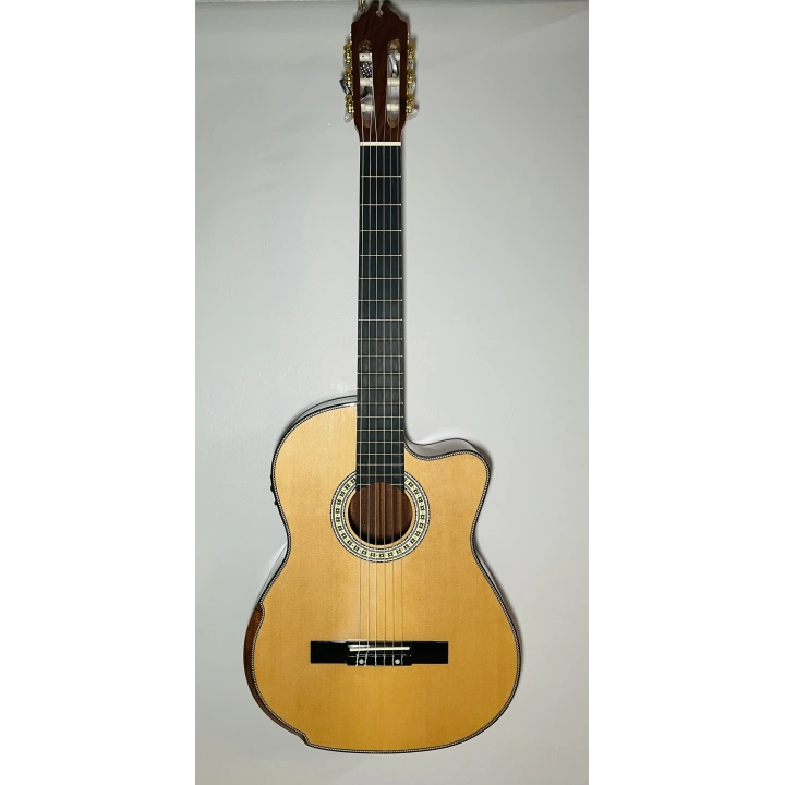 Profesyonel El Yapımı Elektro Klasik Gitar 4/4