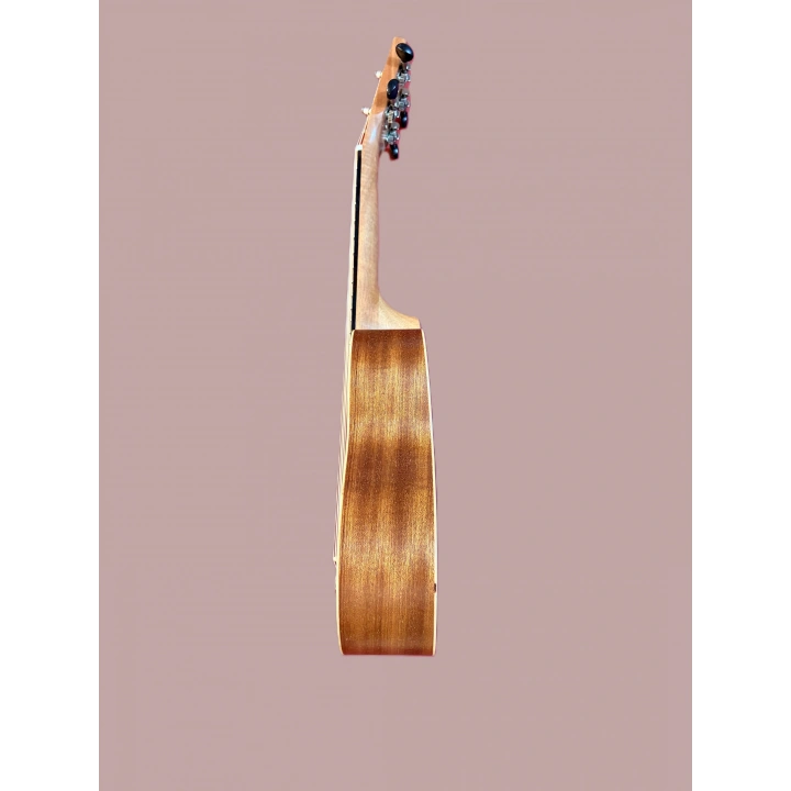 Puka Ukulele