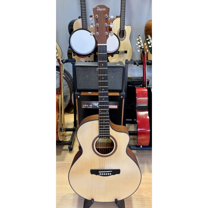 Tayste Akustik Gitar 4/4