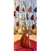 Ardıç Uzun Sap Profesyonel Bağlama