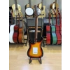 Guson Elektro Gitar