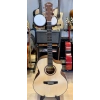 Tayste Akustik Gitar 4/4