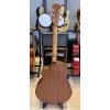 Tayste Akustik Gitar 4/4