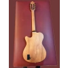 Tayste Elektro Klasik Gitar