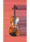 4/4 Profesyonel El Yapımı Keman