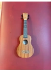 Puka Ukulele