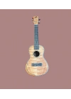 Puka Ukulele