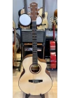 Tayste Akustik Gitar 4/4