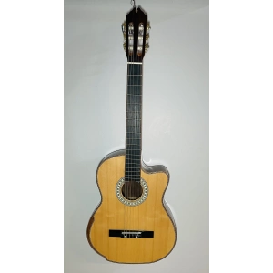 Elektro Klasik Gitar