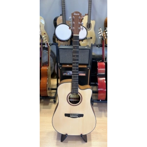 Tayste Akustik Gitar 4/4