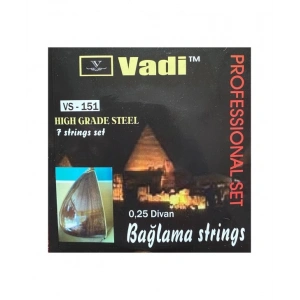 Vadi 0.25 Divan Bağlama Teli