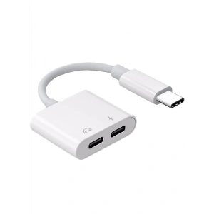 ZR293 Ftac42 Type-C 2 İn 1 Converter Adaptör