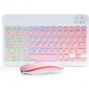 ZR955 Pembe Rgb Km Set