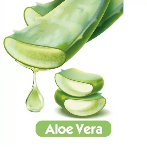 Baby Turco Islak Mendil Aloevera 90lı Koli 24lü