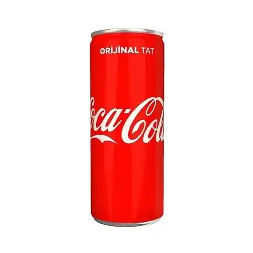 Coca Cola 250 Ml Kutu