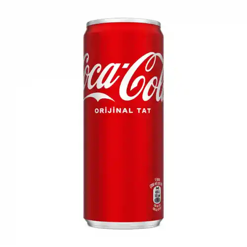 Coca Cola 250ml Kutu