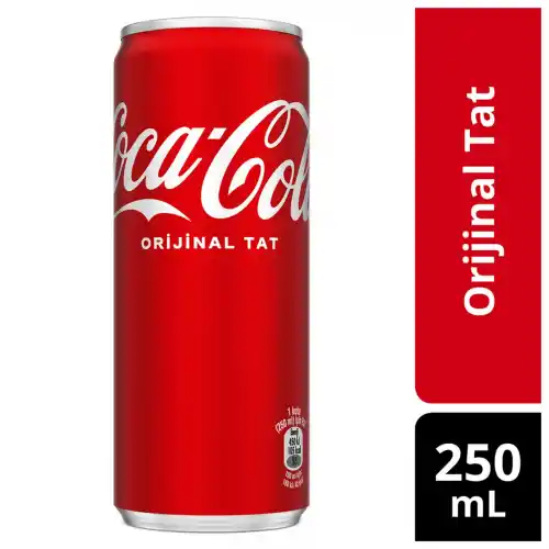 Coca Cola 250ml Kutu