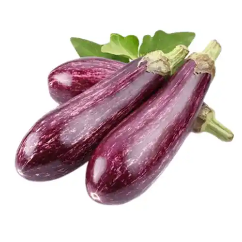 Yamula Patlıcanı Kg