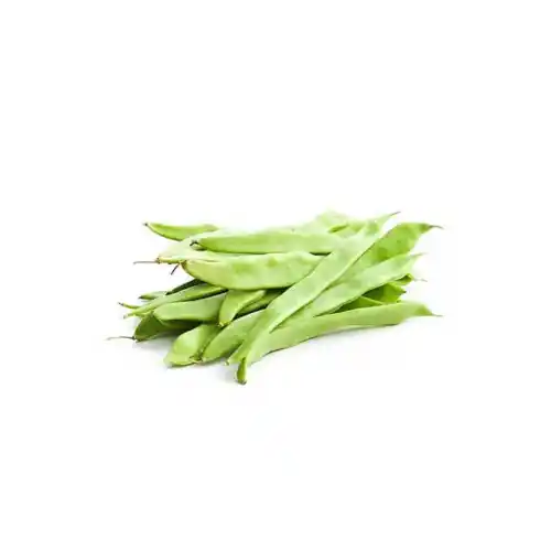 Fasulye Taze  Kg