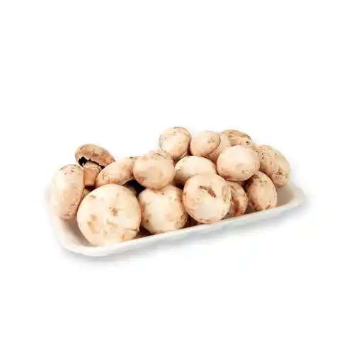 Gross Mantar 300gr