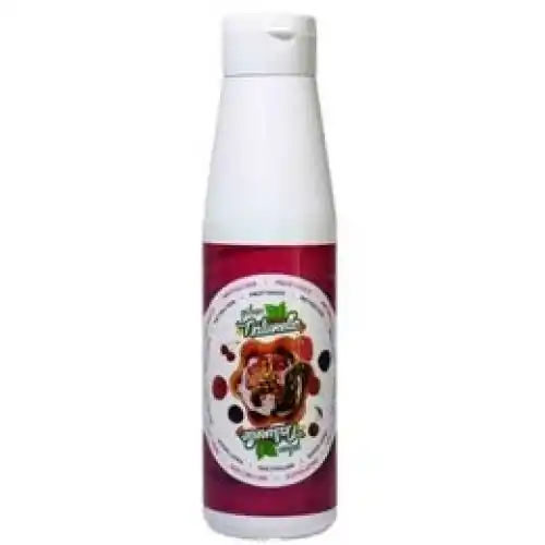 Gülsan Topping Sos 350gr Meyveli Sos